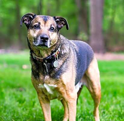 Photo of Axel #image