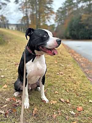 Photo of Tucker #image