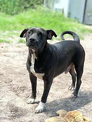 Photo of Maverick #image