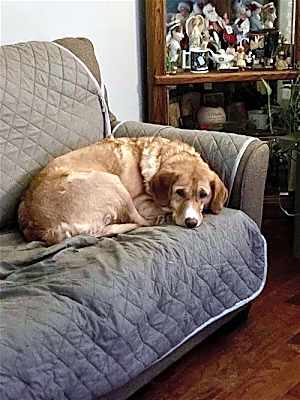 Photo of Sophie #image