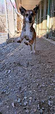 Photo of Angel #image