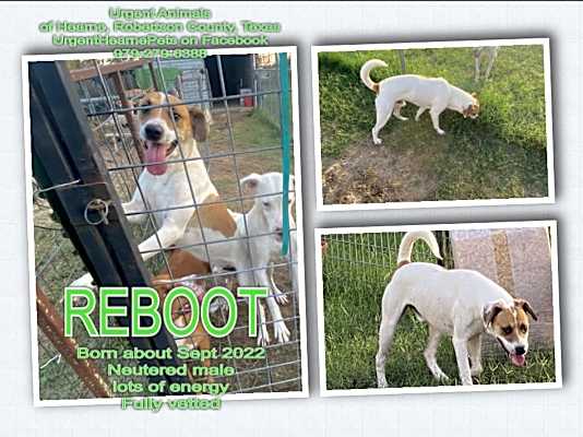 Photo of Reboot #image