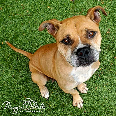 Photo of Maya #image