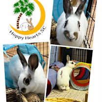 Thumbnail photo of Billie #1