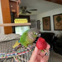 Thumbnail photo of Wally #4