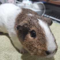 Thumbnail photo of Betty McGlown #3