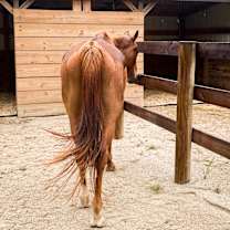 Thumbnail photo of Gabriel #2