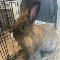 Thumbnail photo of Kennedy #1
