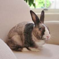 Thumbnail photo of Krystal #1