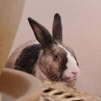 Thumbnail photo of Krystal #2