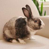 Thumbnail photo of Krystal #3