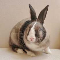 Thumbnail photo of Krystal #4