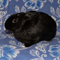 Thumbnail photo of Faith #1