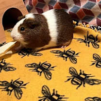 Thumbnail photo of Dio and Latte #3