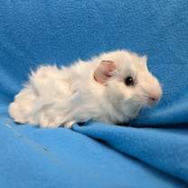 Thumbnail photo of Jeremiah #2
