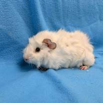 Thumbnail photo of Jeremiah #3