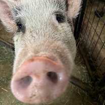 Thumbnail photo of Malia #3