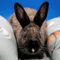 Thumbnail photo of Nadine #1