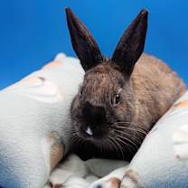 Thumbnail photo of Nadine #2