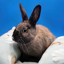 Thumbnail photo of Nadine #3