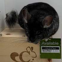 Thumbnail photo of Parker #2