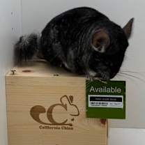 Thumbnail photo of Parker #3