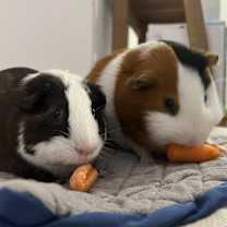 Thumbnail photo of Motaz & Baby Zay #1