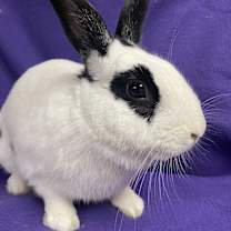 Thumbnail photo of Kenneth #1