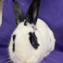 Thumbnail photo of Kenneth #4