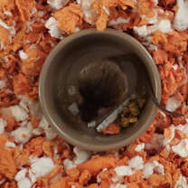 Thumbnail photo of Batter #2