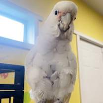 Thumbnail photo of Charlie #2