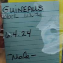 Thumbnail photo of Guineaus #3