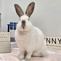 Thumbnail photo of Carol #4