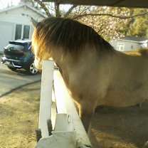 Thumbnail photo of ODIN #4