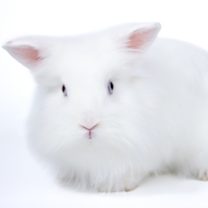 Thumbnail photo of Wendy #1