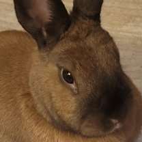 Thumbnail photo of Hope #1