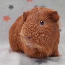 Thumbnail photo of Jam #2