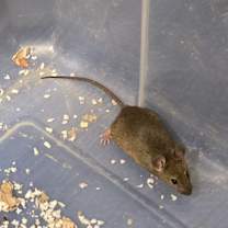 Thumbnail photo of Batter #4