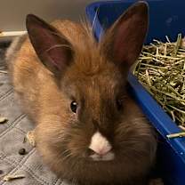 Thumbnail photo of Kennedy #3