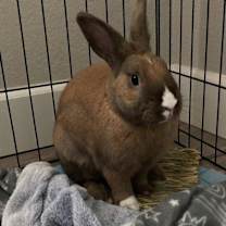 Thumbnail photo of Tango #3