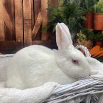 Thumbnail photo of Tina #3