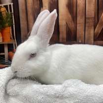Thumbnail photo of Tina #4