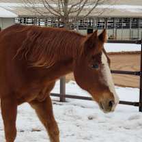 Thumbnail photo of Rudy #3