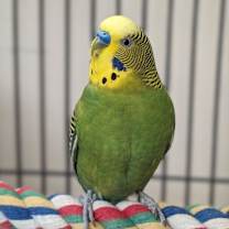 Thumbnail photo of Sandy #2