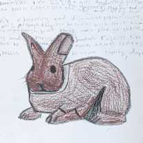 Thumbnail photo of Kiuke #3