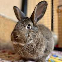 Thumbnail photo of Kiuke #4