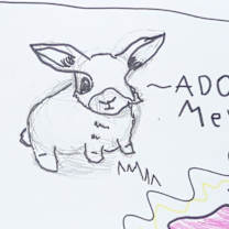 Thumbnail photo of Bobbie #3