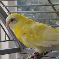 Thumbnail photo of Helga #1