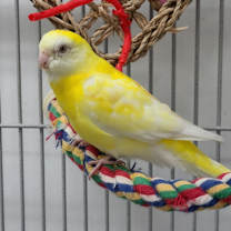 Thumbnail photo of Helga #2