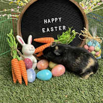 Thumbnail photo of Damon #2